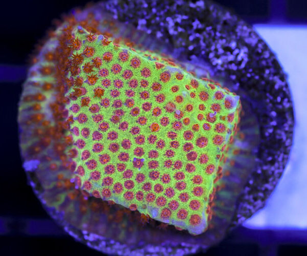 import placeholder for 3063640