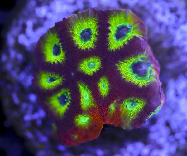 import placeholder for 3063639