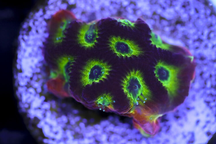 import placeholder for 3063638