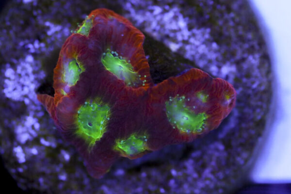 import placeholder for 3063634