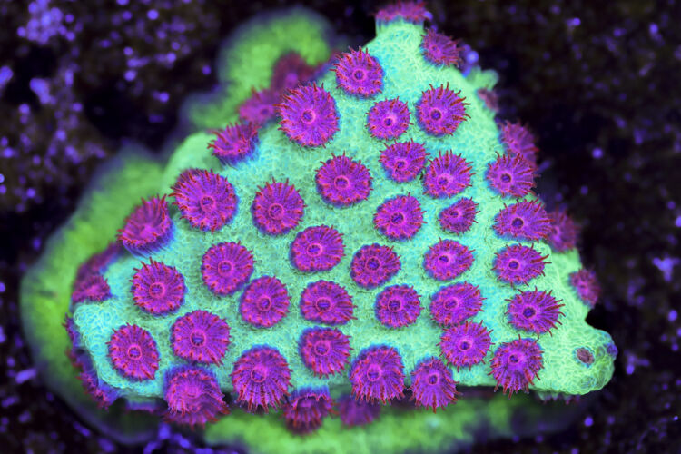 import placeholder for 3063620