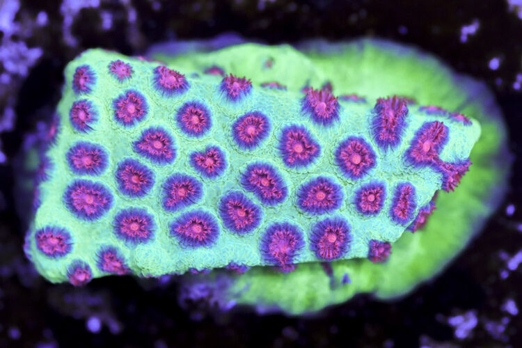 import placeholder for 3063617