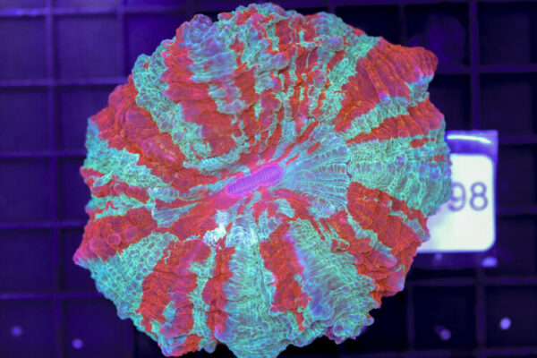 import placeholder for 3062374