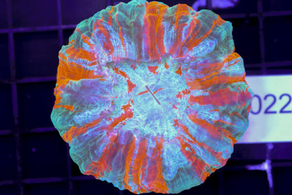 import placeholder for 3062373