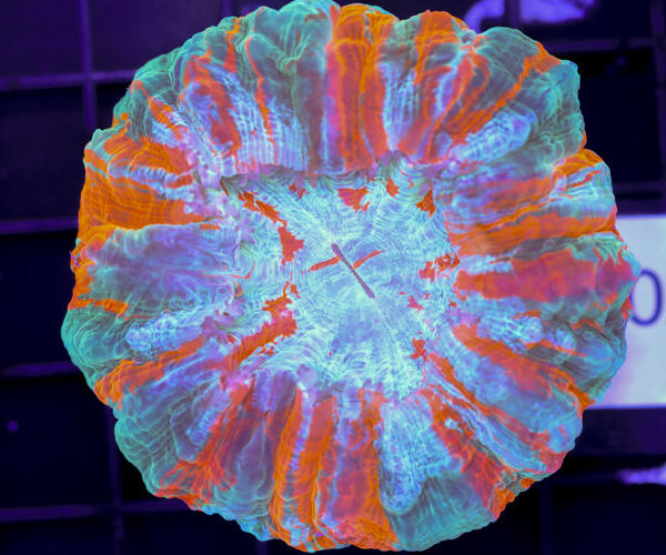 import placeholder for 3062373