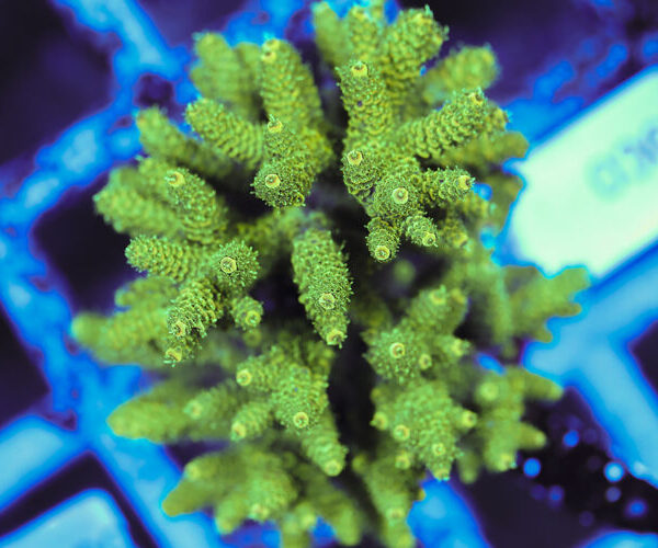 import placeholder for 3060425