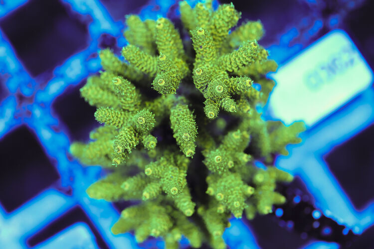 import placeholder for 3060425