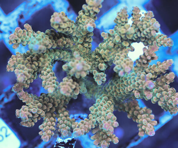 import placeholder for 3060423