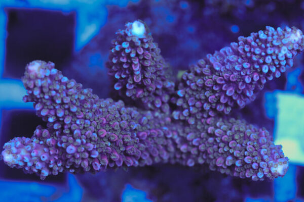 import placeholder for 3060422