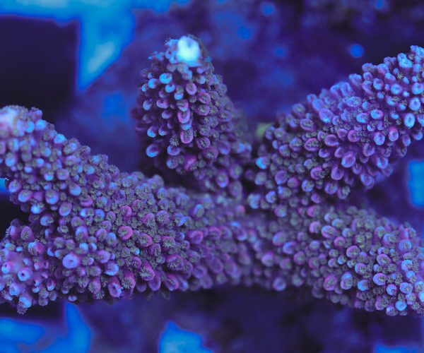 import placeholder for 3060422