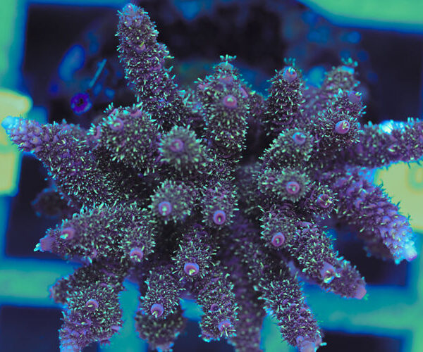 import placeholder for 3060419