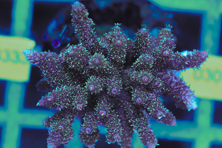 import placeholder for 3060419