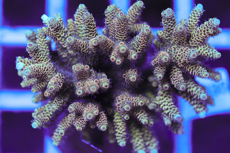 import placeholder for 3060417