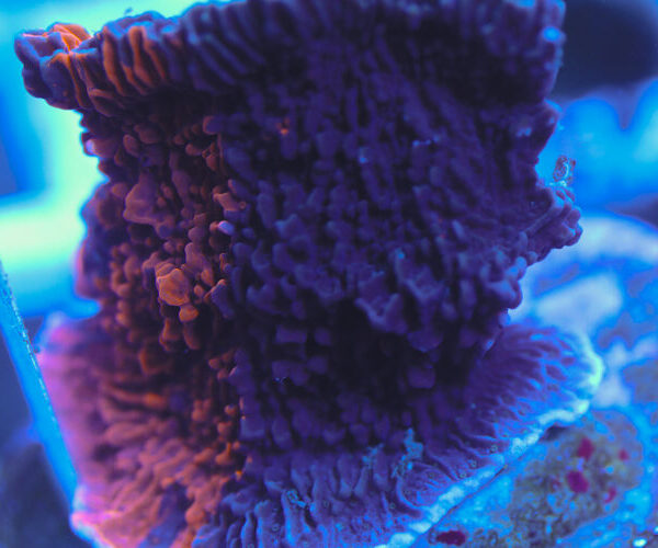 import placeholder for 3060415