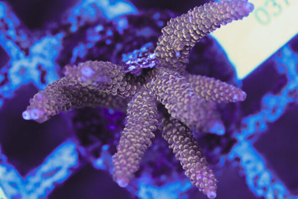 import placeholder for 3060414