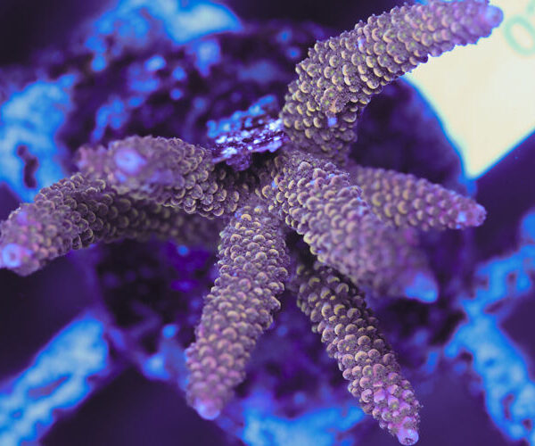 import placeholder for 3060414