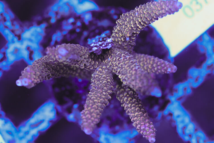 import placeholder for 3060414