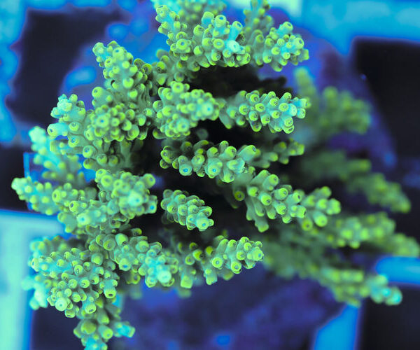 import placeholder for 3060411