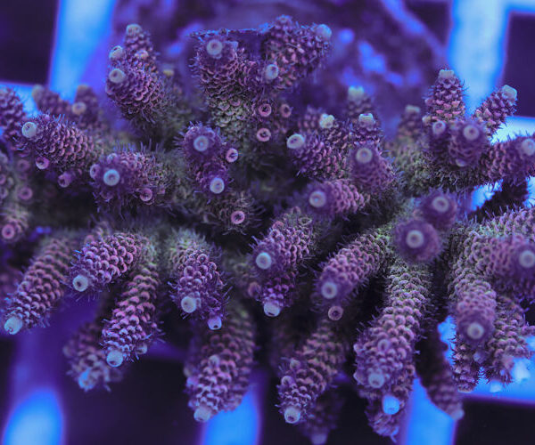 import placeholder for 3060410