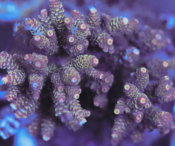 import placeholder for 3060405