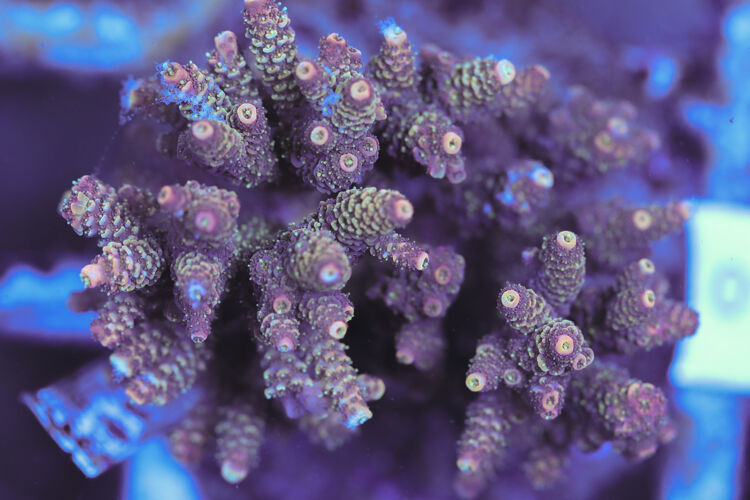 import placeholder for 3060405