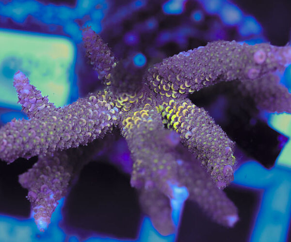 import placeholder for 3060404