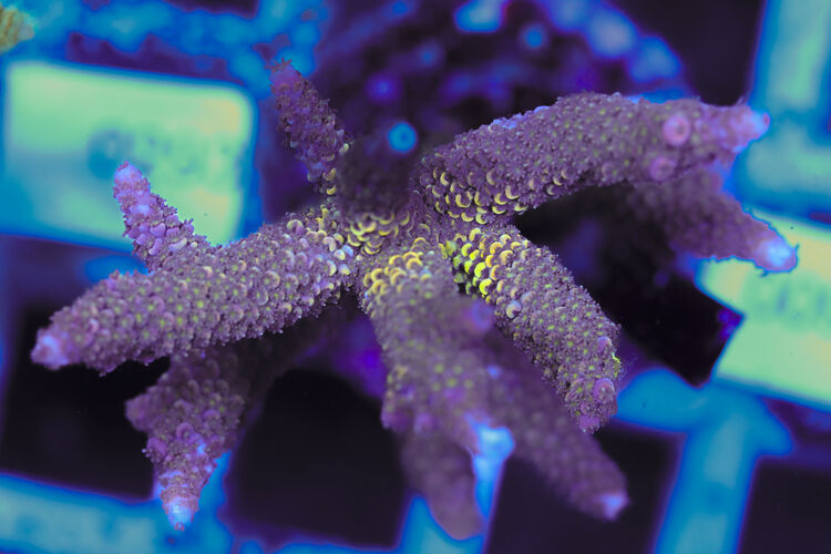 import placeholder for 3060404