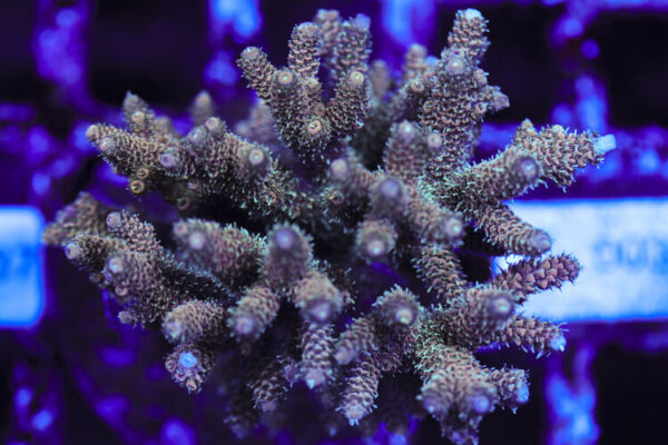 import placeholder for 3060400