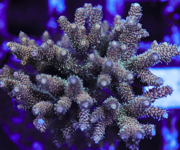 import placeholder for 3060400