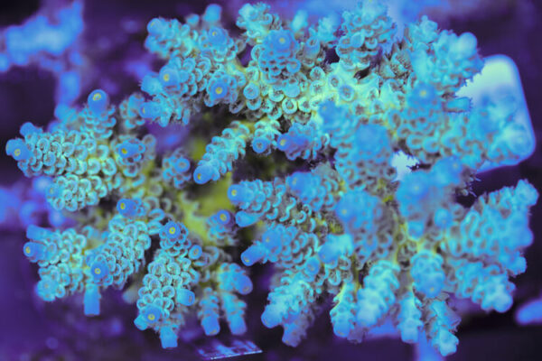 import placeholder for 3060388