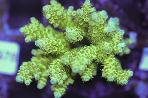 import placeholder for 3060383