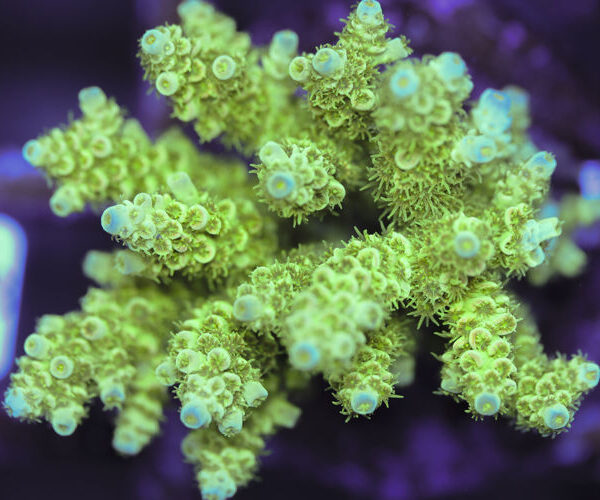 import placeholder for 3060383