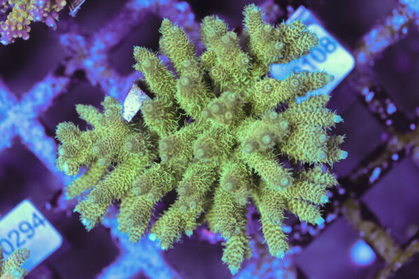 import placeholder for 3060381