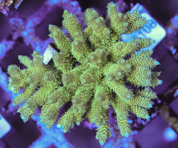 import placeholder for 3060381