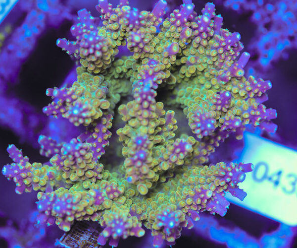 import placeholder for 3060380