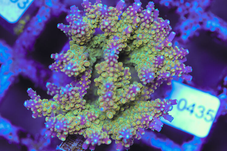 import placeholder for 3060380