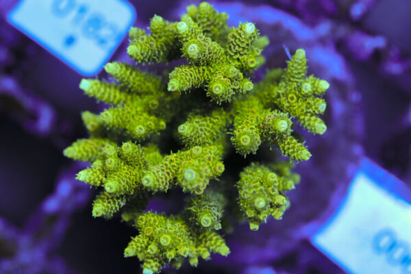 import placeholder for 3060378