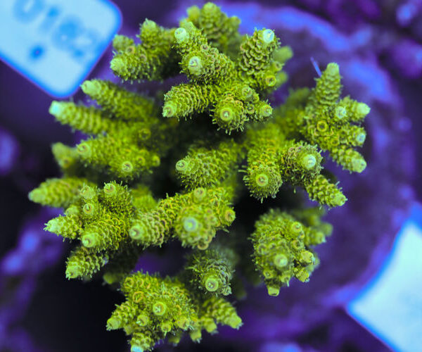 import placeholder for 3060378