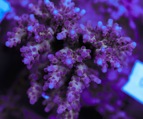 import placeholder for 3060377