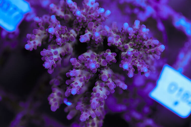 import placeholder for 3060377