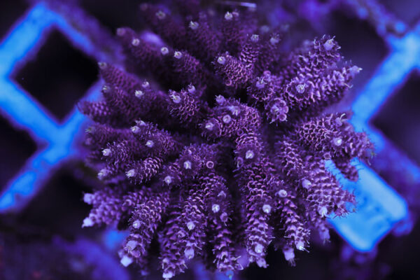 import placeholder for 3060374