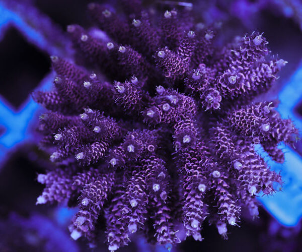 import placeholder for 3060374