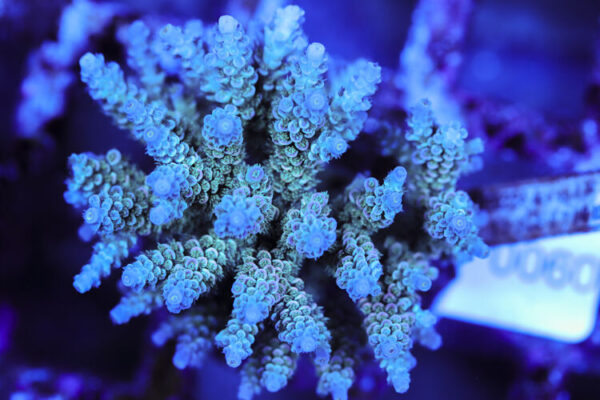 import placeholder for 3060372