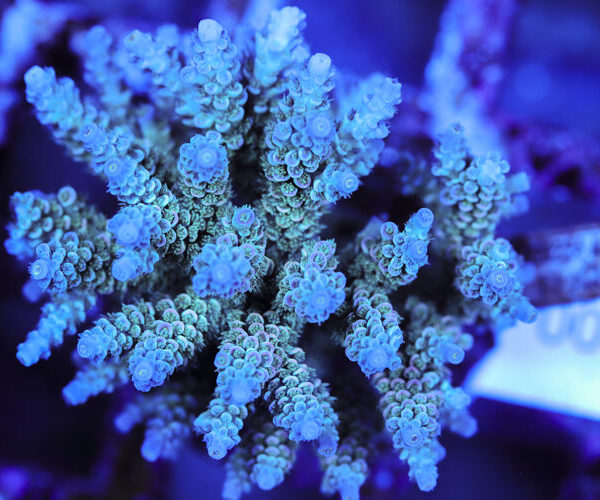 import placeholder for 3060372