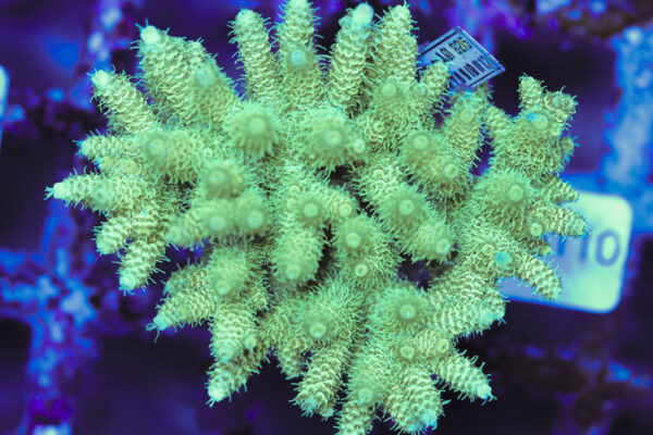 import placeholder for 3060371