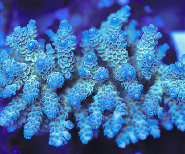 import placeholder for 3060370