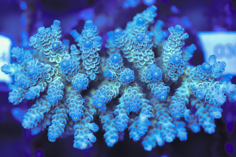 import placeholder for 3060370