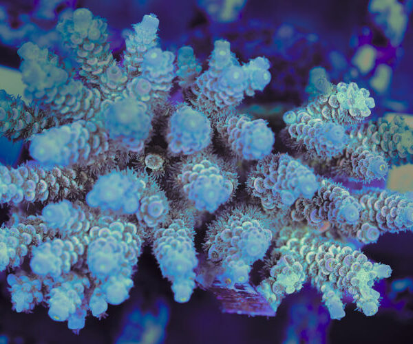 import placeholder for 3060366