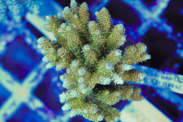 import placeholder for 3060365