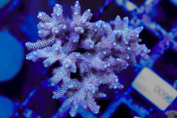 import placeholder for 3060364